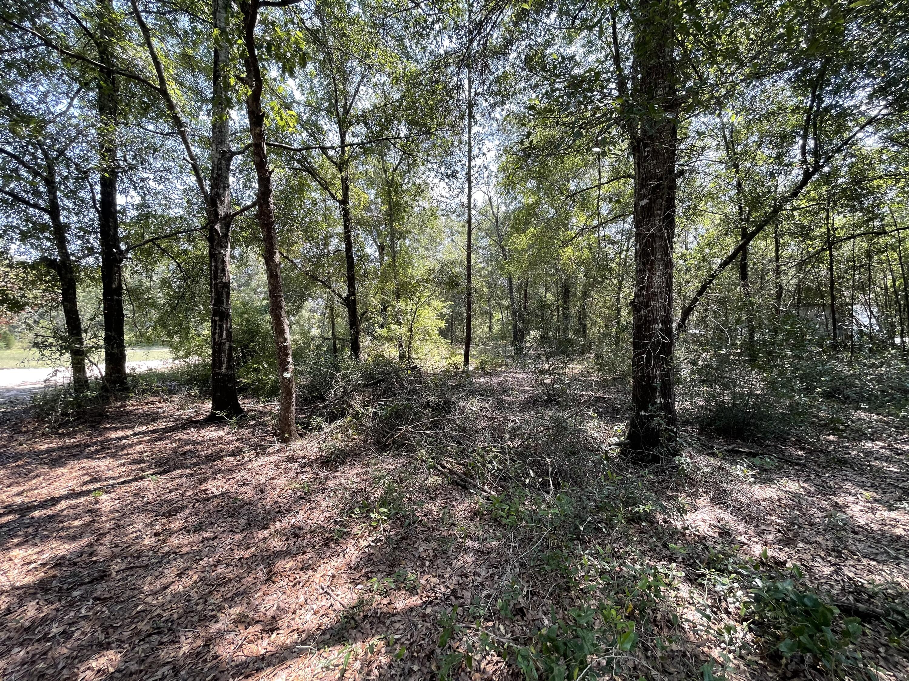 METES & BOUNDS - Land