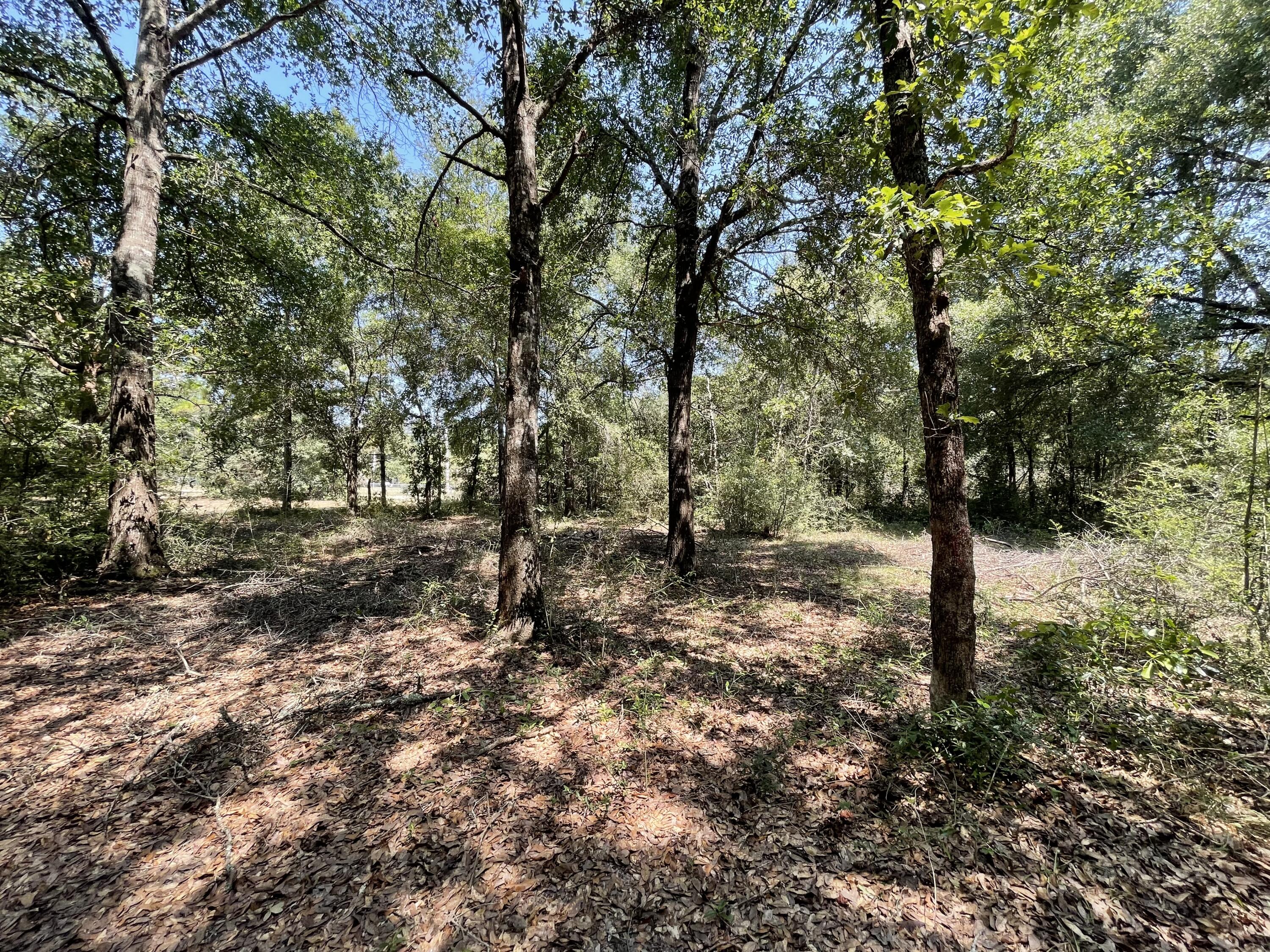 METES & BOUNDS - Land