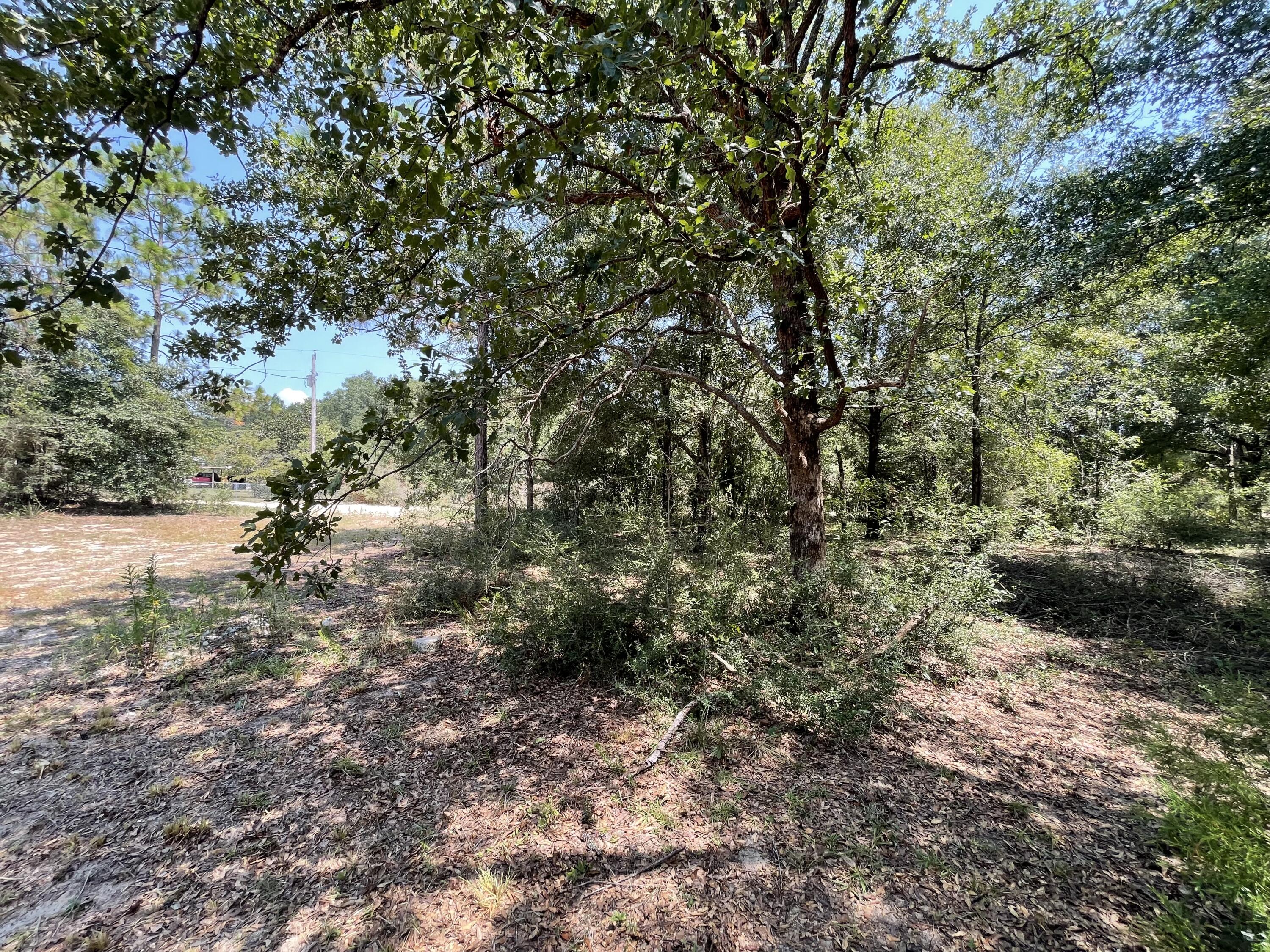 METES & BOUNDS - Land