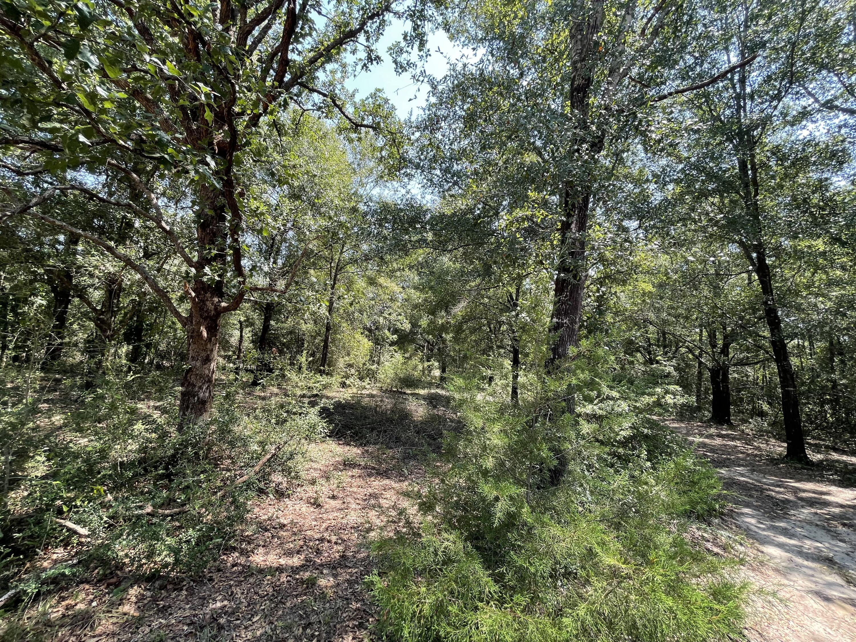 METES & BOUNDS - Land