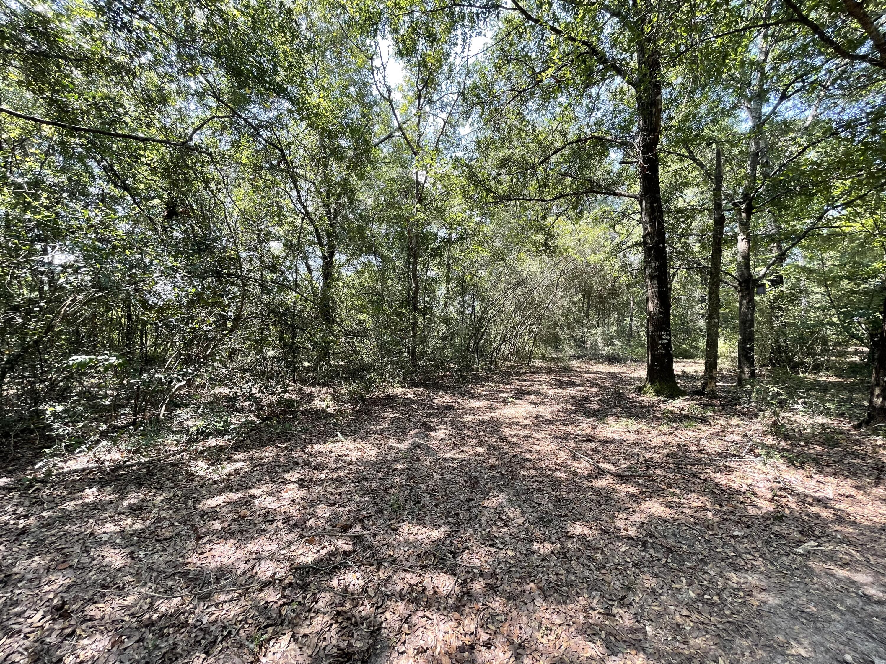 METES & BOUNDS - Land