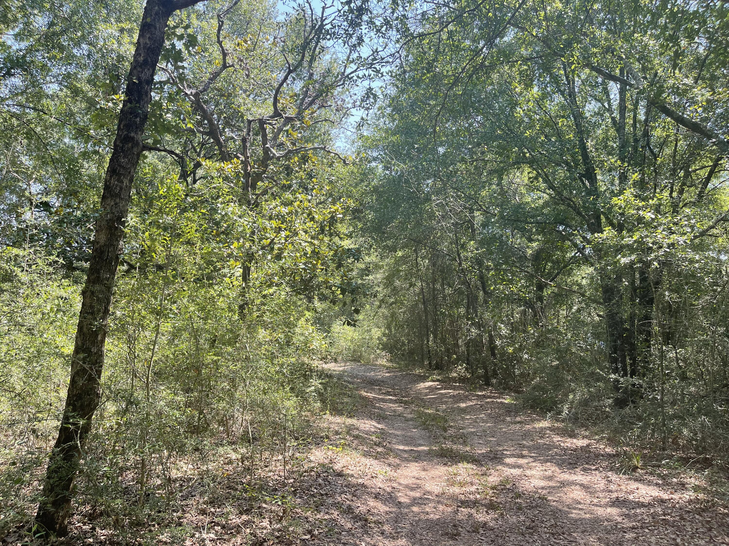 METES & BOUNDS - Land