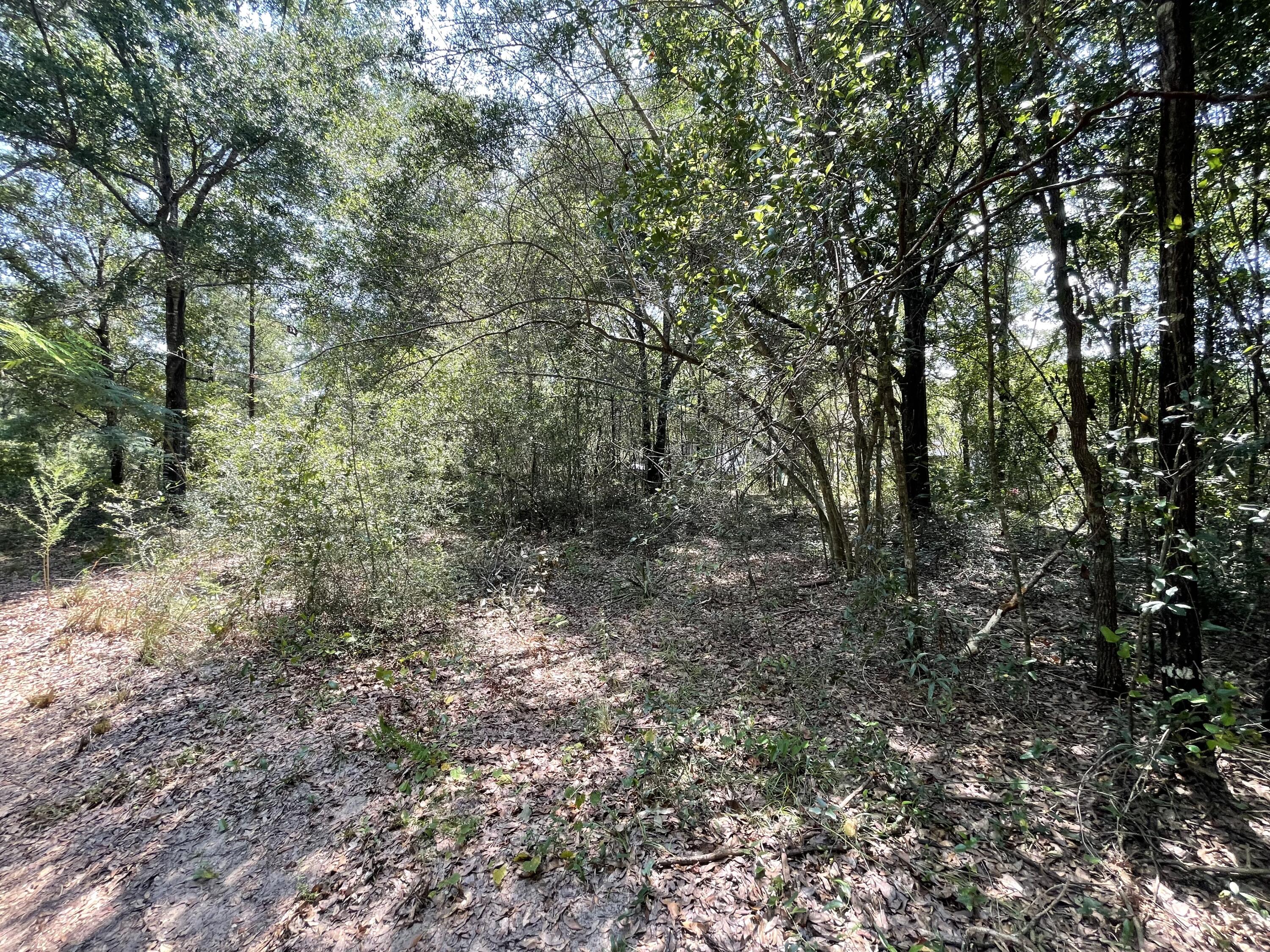 METES & BOUNDS - Land