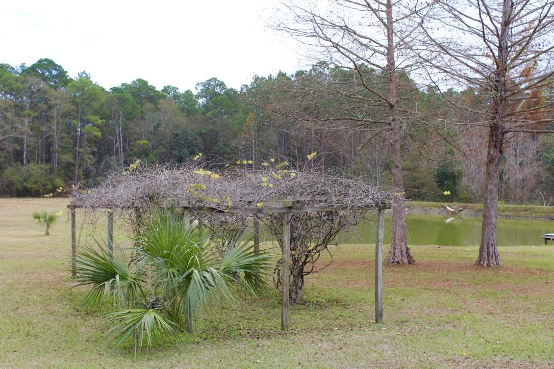 647 Hubbard Street - Residential