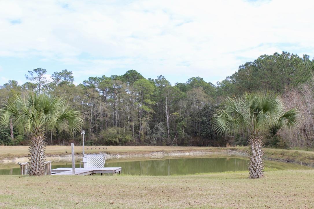 647 Hubbard Street - Residential