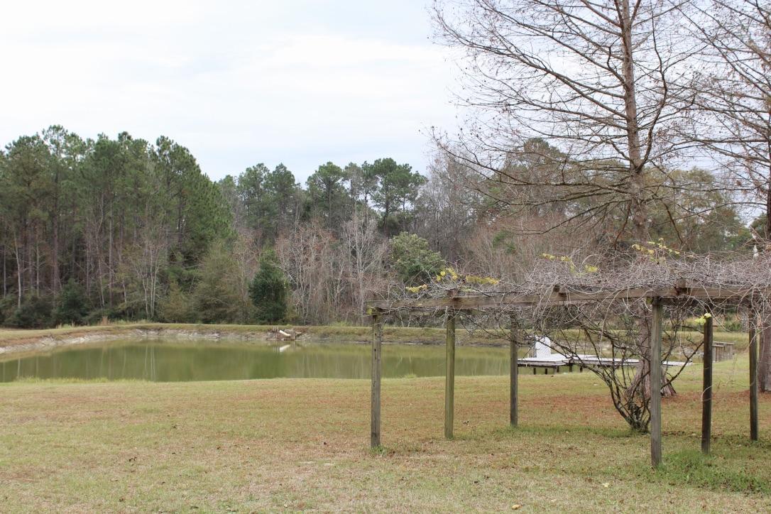 647 Hubbard Street - Residential