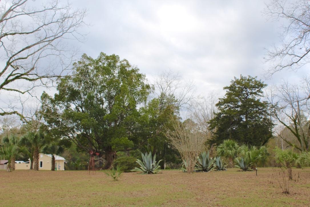 647 Hubbard Street - Residential