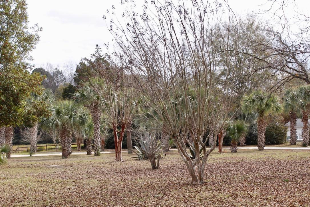 647 Hubbard Street - Residential