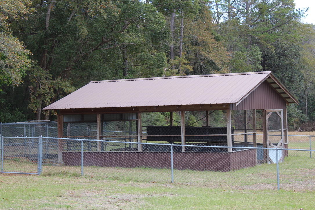 647 Hubbard Street - Residential