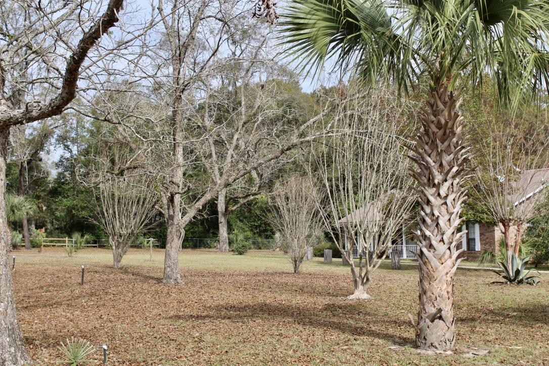 647 Hubbard Street - Residential