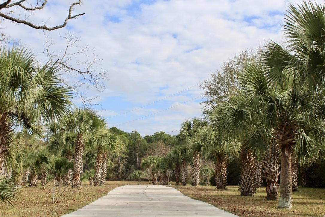 647 Hubbard Street - Residential