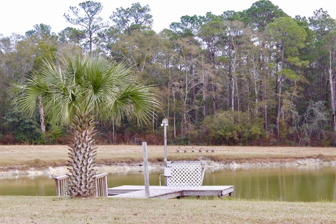 647 Hubbard Street - Residential