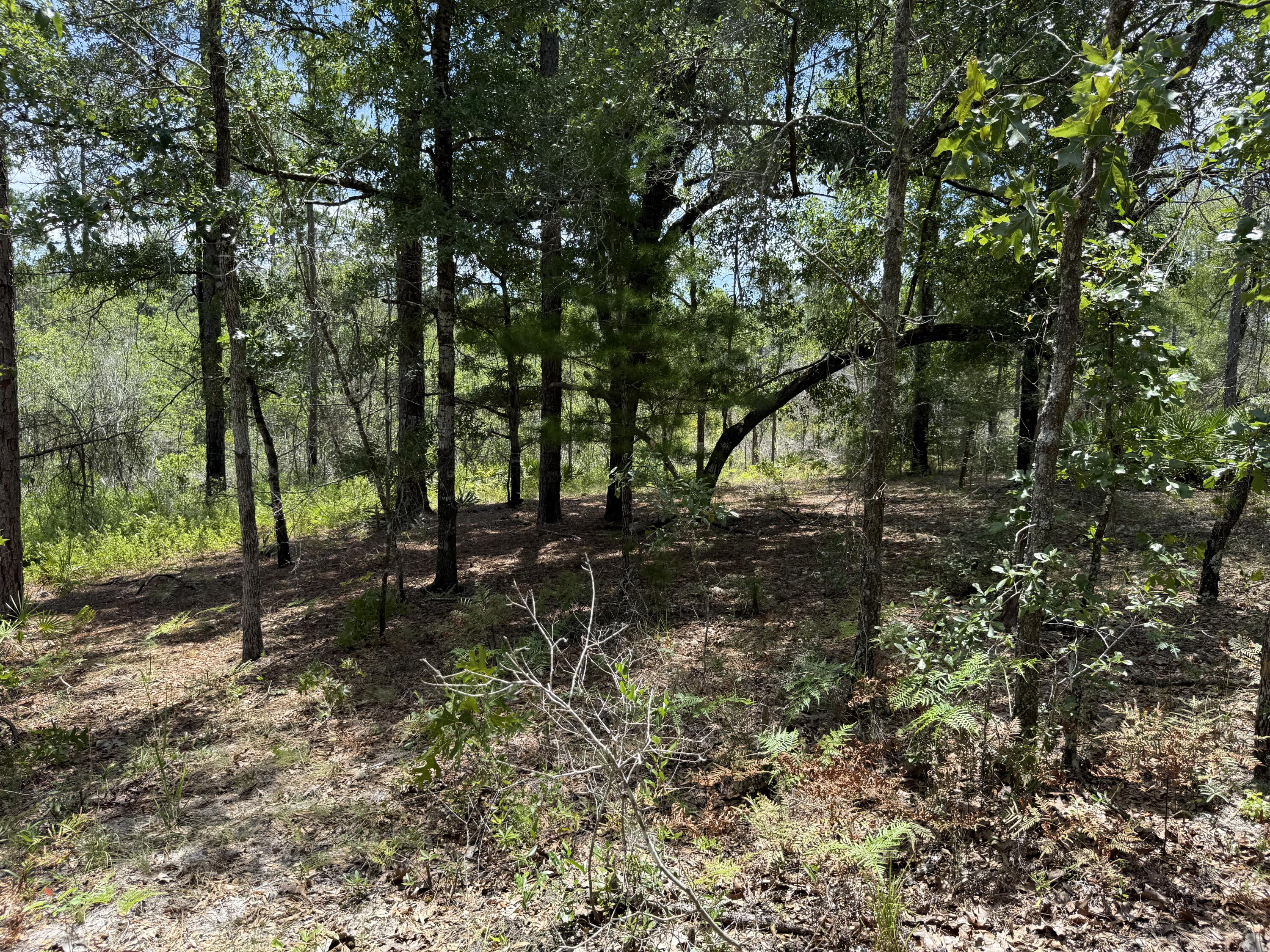 Oakwood Hills Unit I - Land