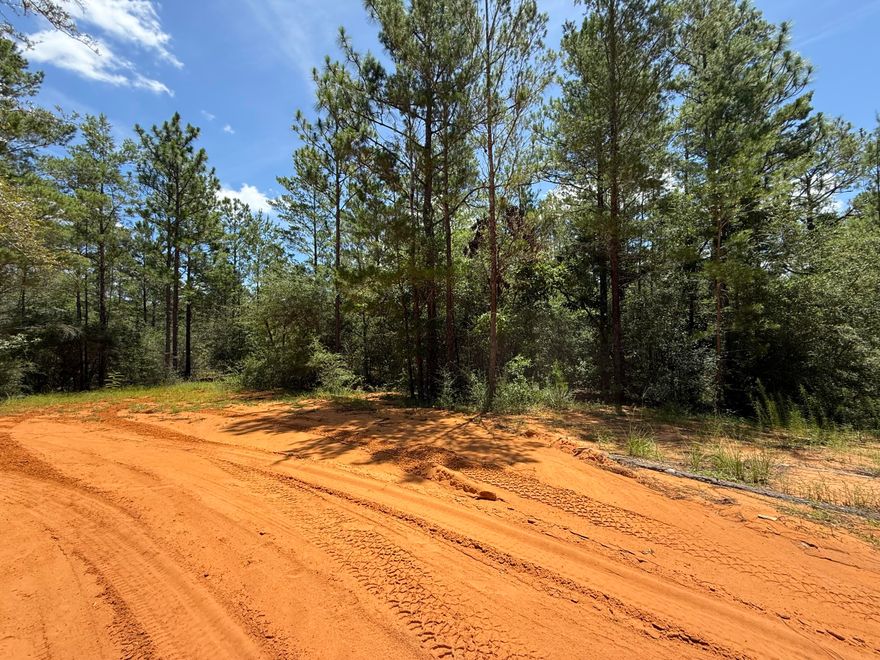 Opportunity awaits! Beautiful wooded 1/2 acre in the growing area of Oakwood Hills, an area which is currently being development by numerous builders. Zoning is Rural Residential / Low Density which allows Single family residential, manufactured / mobile homes, and modular homes. This property is Flood zone X per the county. Lot 38 (1 acre) is available separately under MLS # 992588. Enjoy easy access to I-10, making it n excellent location for commuting in any direction, with most workplaces reachable within approximately 30-45 minutes. Plus, you're approximately 35 miles from the beautiful turquoise water & white-sand beaches of Florida's famous Emerald Gulf Coast, including 30A and the majestic Crab Island. Buyer needs to verify building codes, zoning regulations, wetlands and flood  zones, etc with proper local authorities to ensure buyer will be able to utilize the property for intended use.
Information contained within this listing is deemed to be accurate, but is not guaranteed.