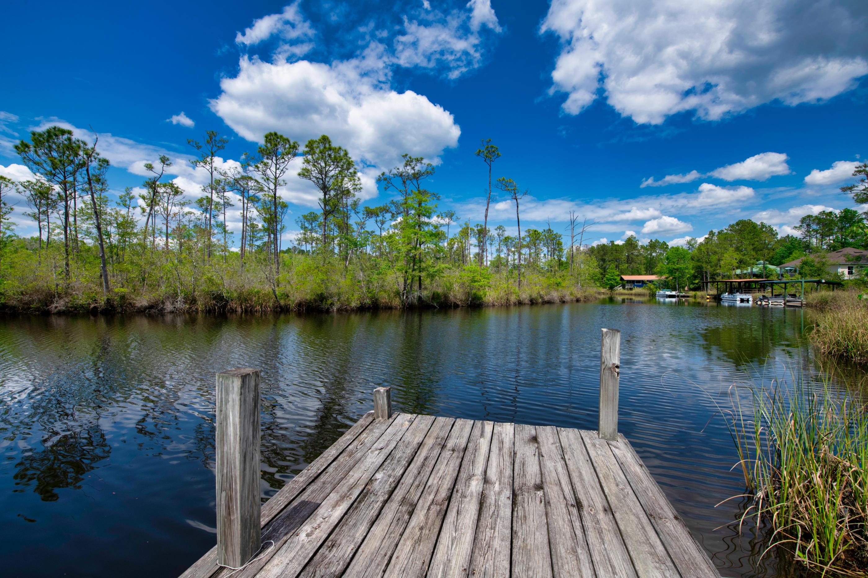ALAQUA ISLAND - Residential