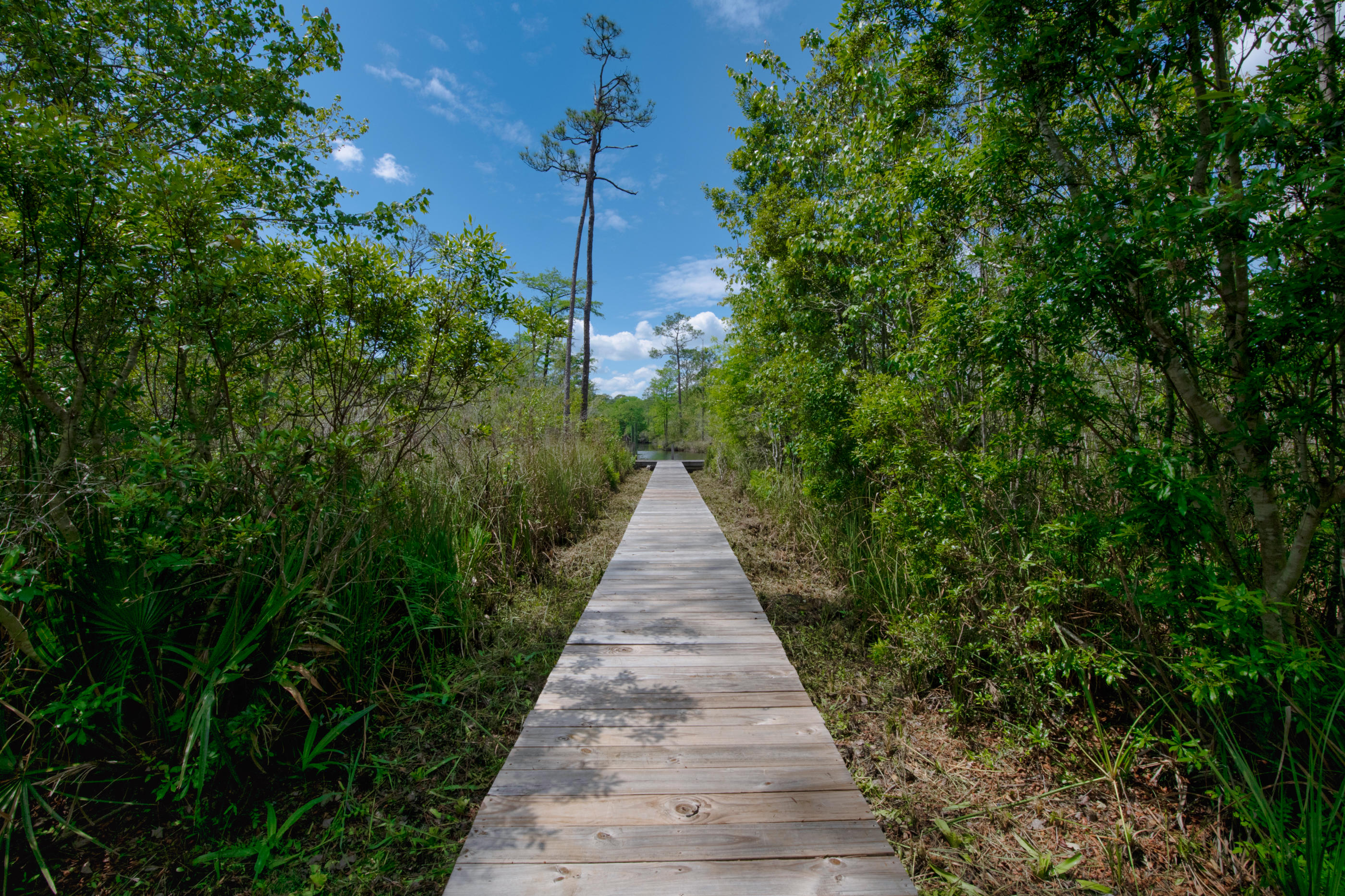 ALAQUA ISLAND - Residential