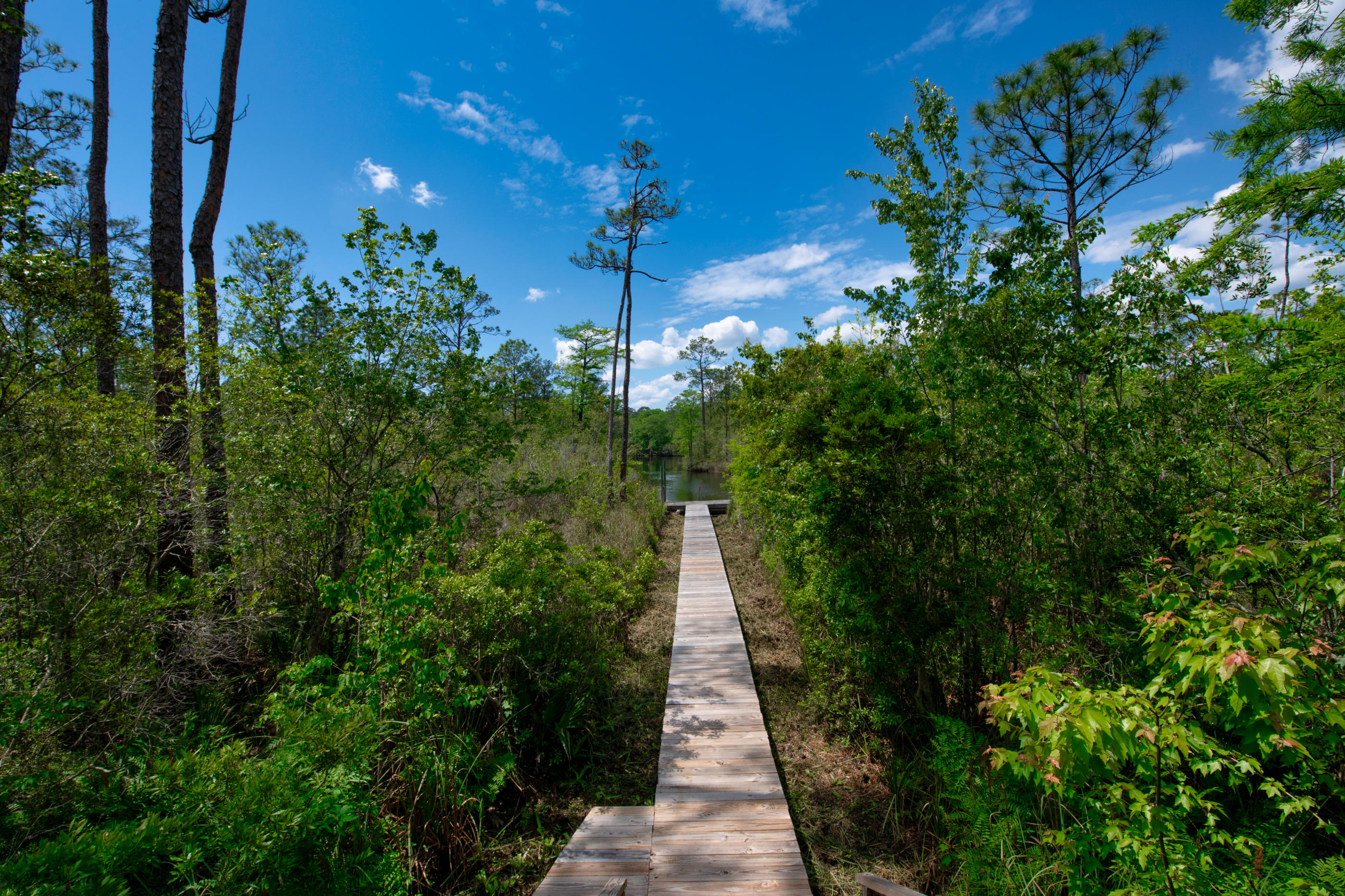 ALAQUA ISLAND - Residential