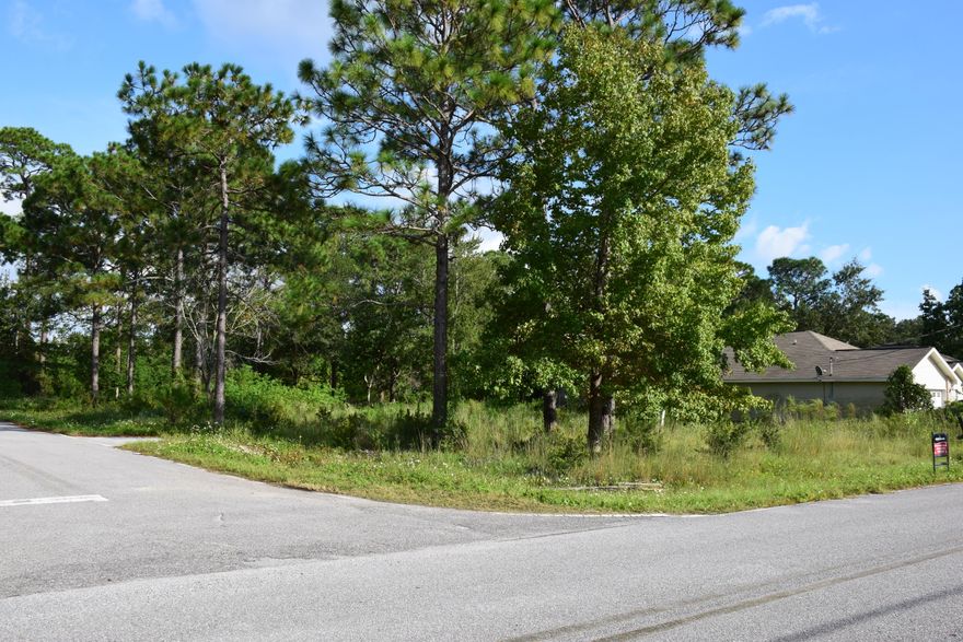 Build your new home on this pretty wooded corner lot in Villa Tasso! Conveniently located just minutes from Niceville and the Mid-Bay Bridge to the Gulf beaches in Destin. Lots can be used separately to build 2 homes if desired as was done across the street. An electric pole with blank meter, water connection, propane tank, and a septic tank (no bottom so would need to be brought up to current code) should reduce your start up costs. Fill was added to the lot when there was an occupied mobile home here. Great opportunity for someone just starting out or for someone who is downsizing. Seller to have path created soon so it will be easier to walk on.