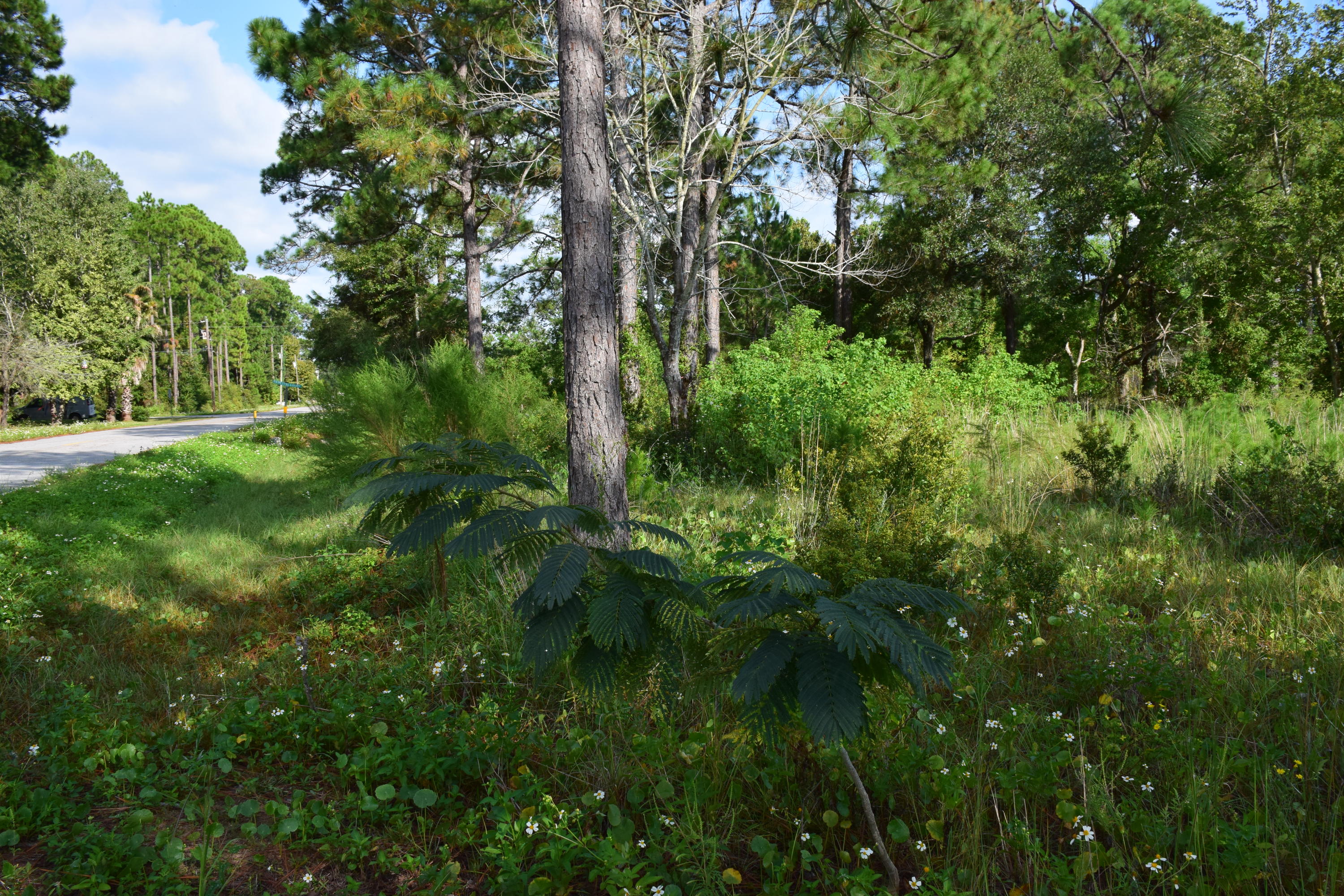 VILLA TASSO TOWN OF - Land