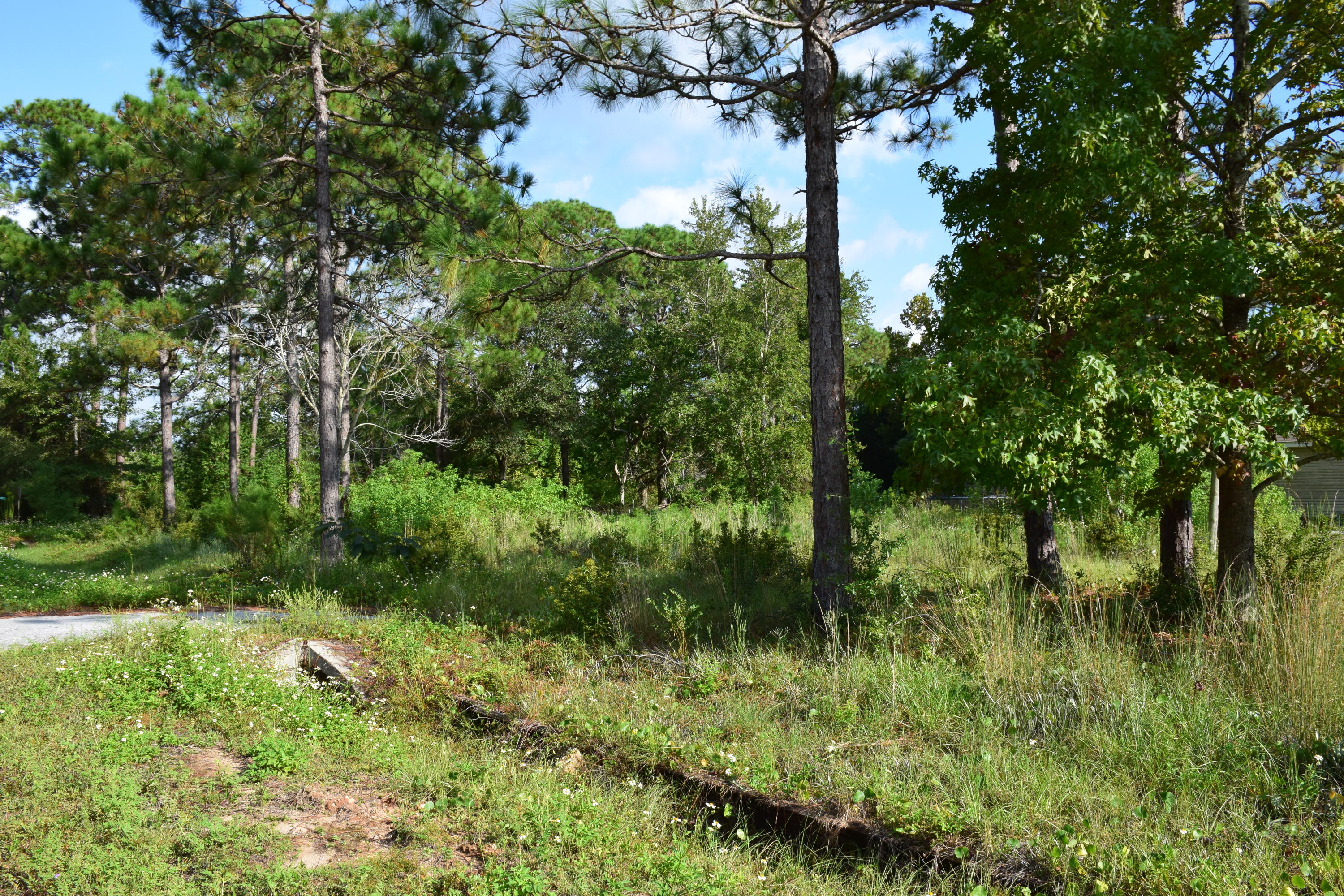 VILLA TASSO TOWN OF - Land