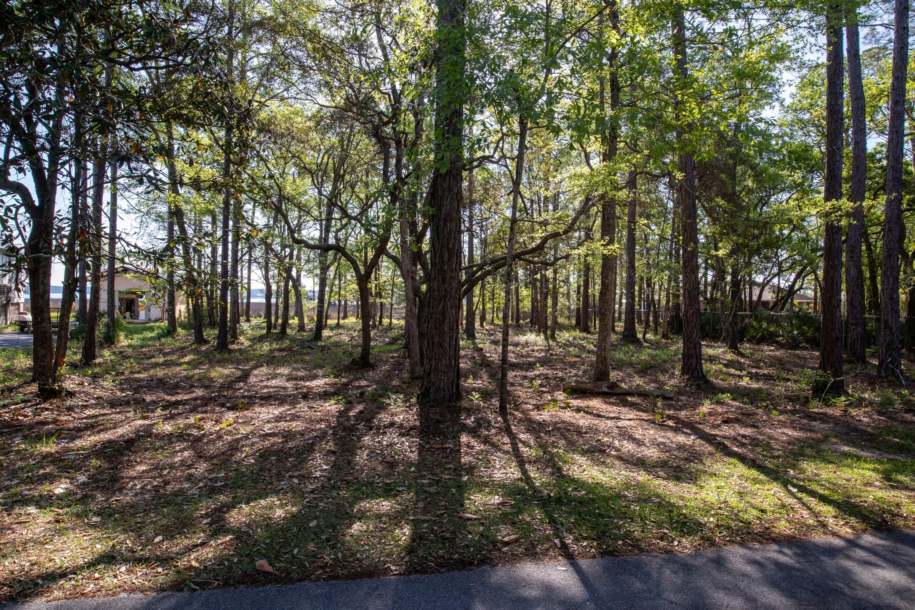 CROSS CREEK SHORES - Land