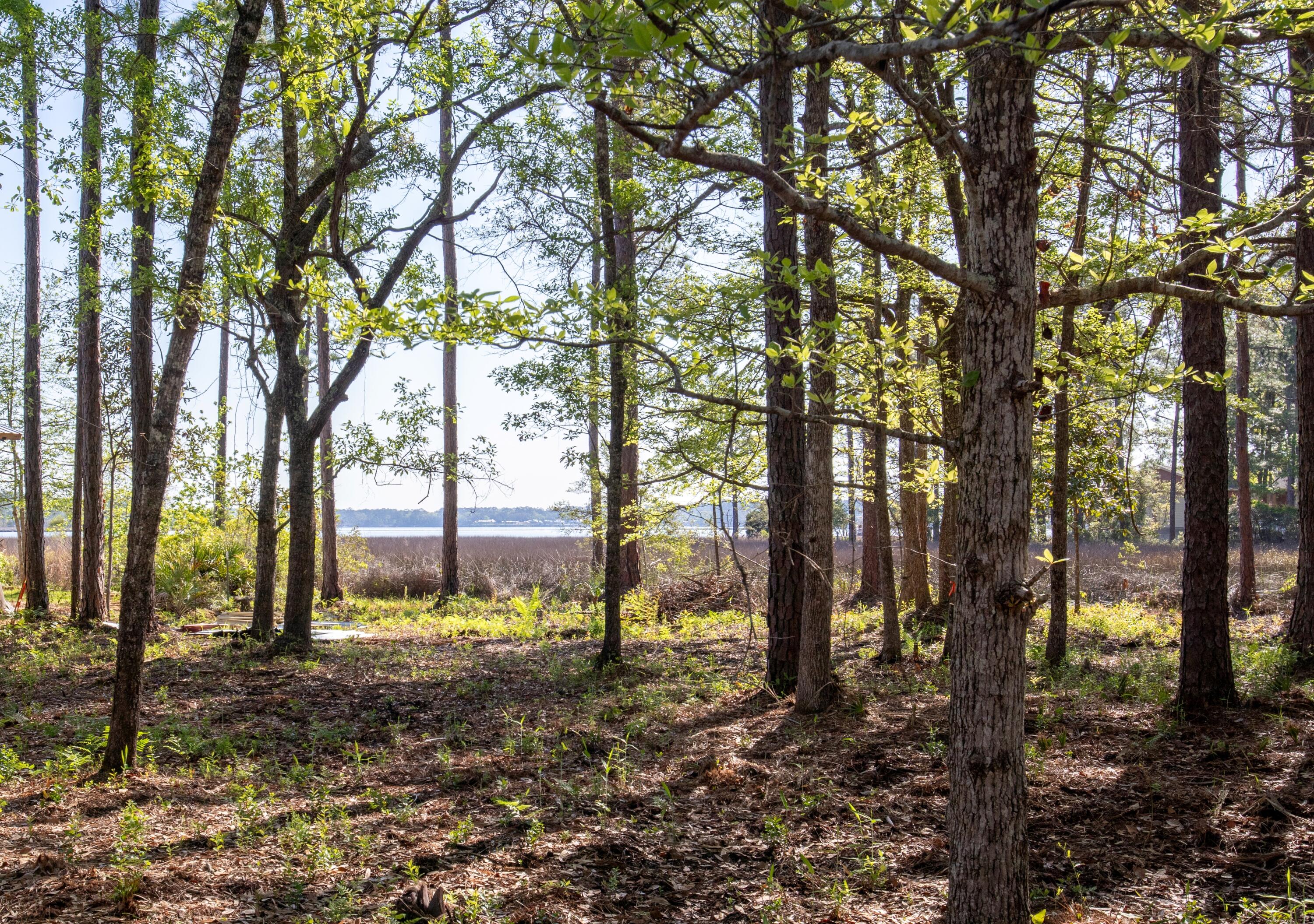 CROSS CREEK SHORES - Land