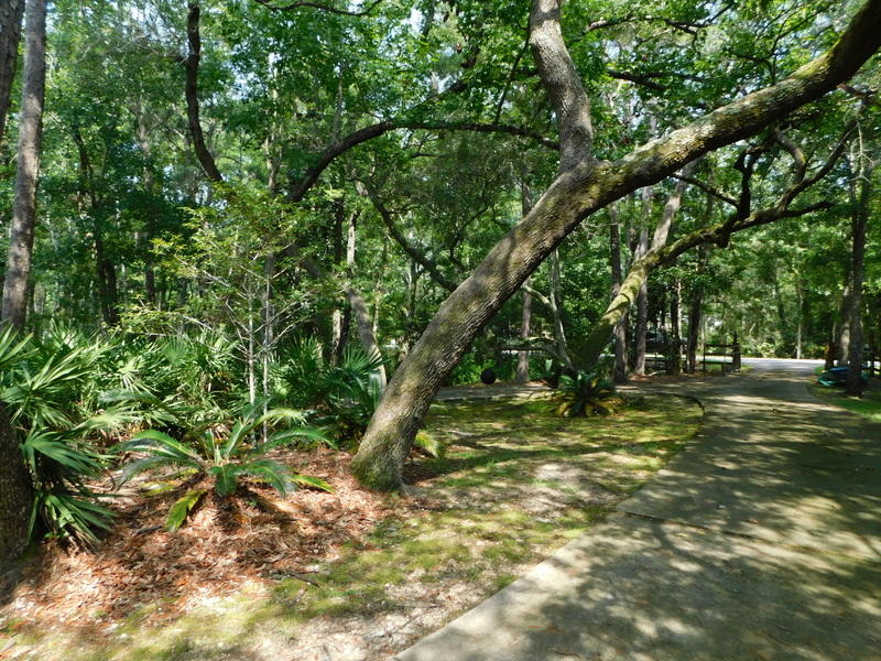 LAGRANGE SHORES - Residential