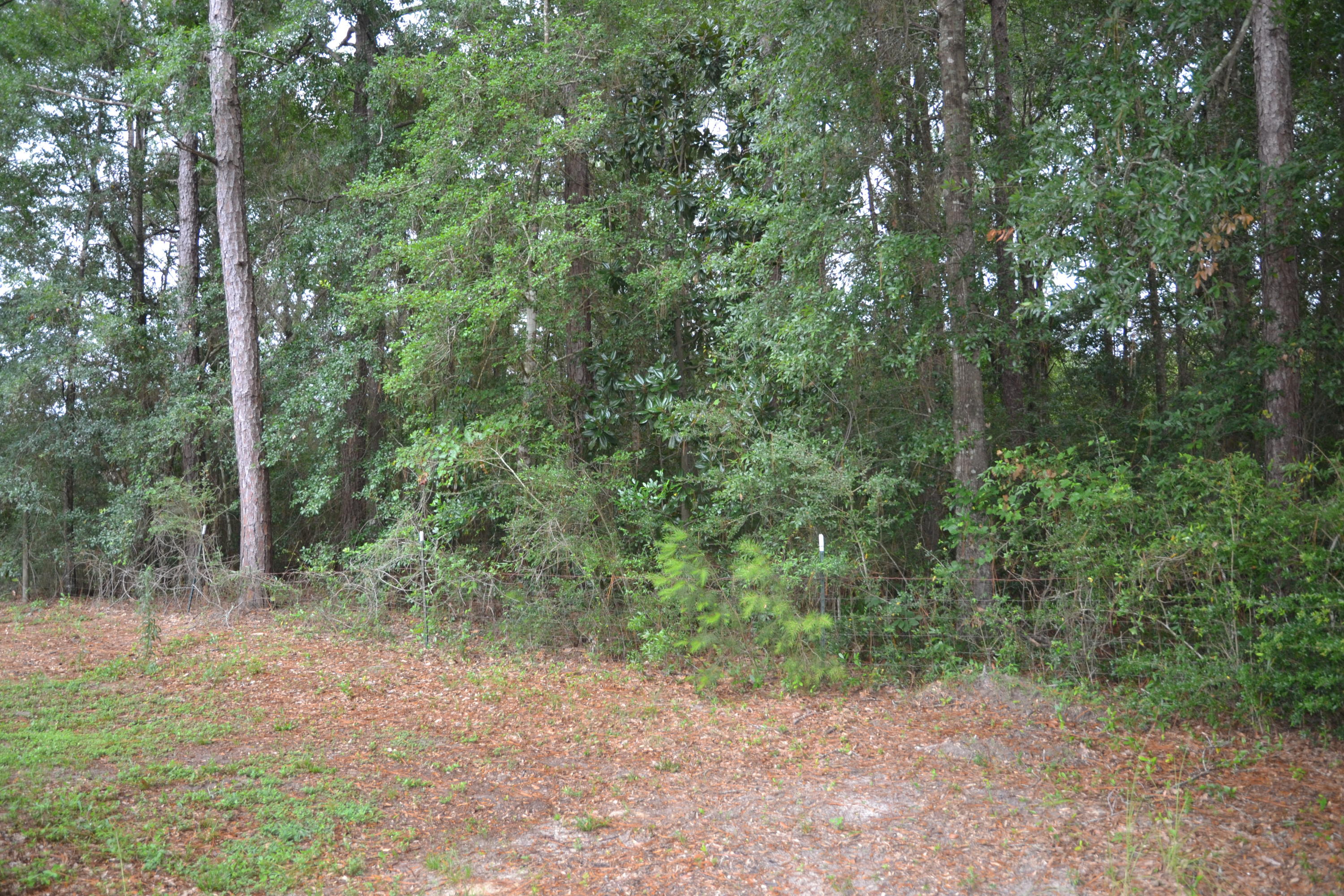 Meets and Bounds - Residential