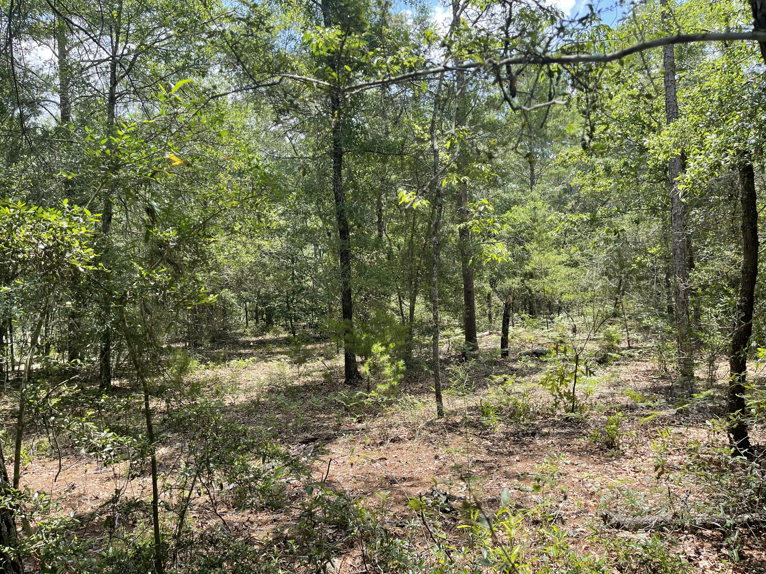 OAKWOOD HILLS UNIT 3 - Land