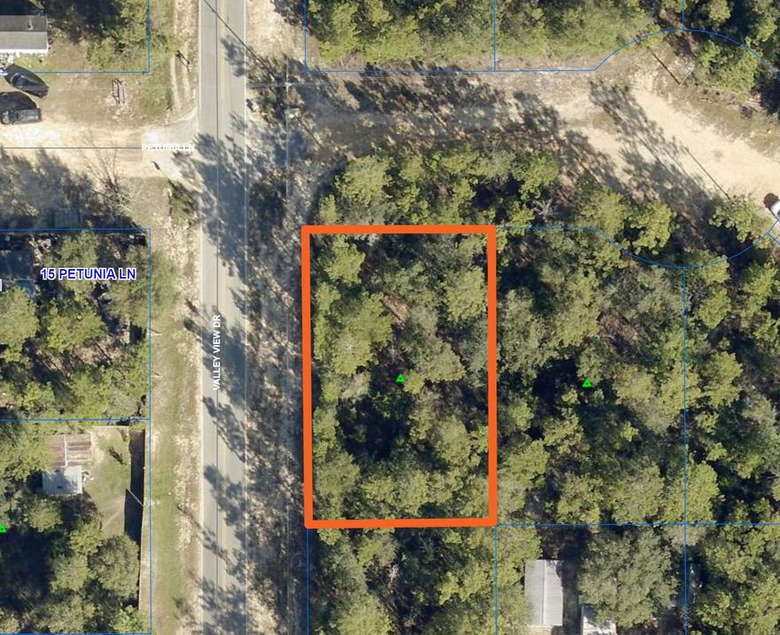 This nearly 1/4 acre lot is a good one! It is flat land with a mix of mostly pinetrees and oaks. 125 ft of road frontage on Valley View Drive and 80 ft of frontage on Petunia Lane. This corner lot allows you access from either road. Valley View Drive is a paved county maintained road. No homeowners association and mobile homes are allowed. Public water is available through Mossy Head Water but the tap fee will be due.Easy access to Highway 90 for traveling to DeFuniak Springs or Crestview.