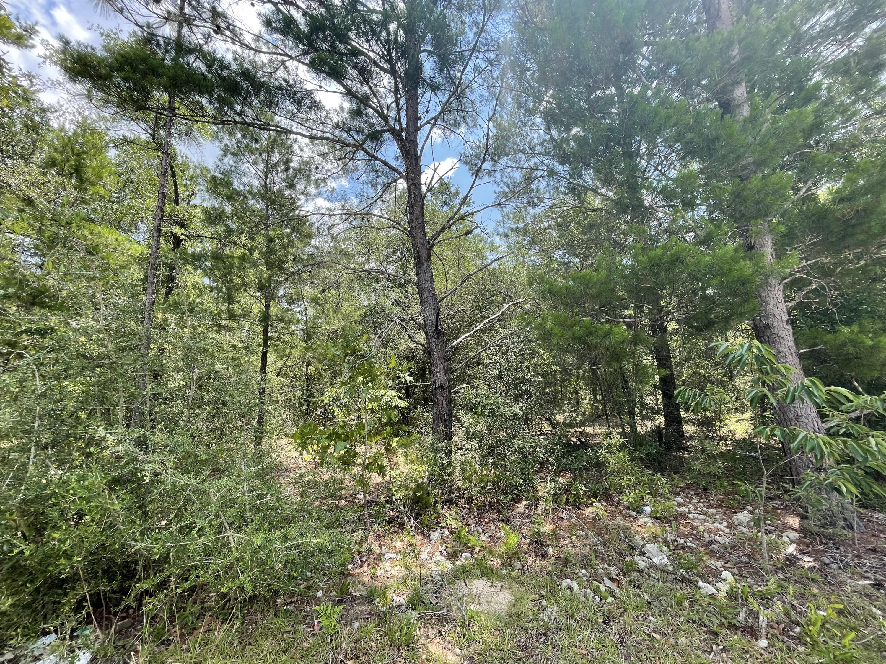 OAKWOOD HILLS UNIT 3 - Land