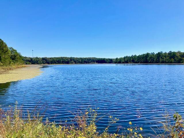 SEACOAST ESTATES - Land