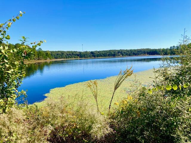 SEACOAST ESTATES - Land