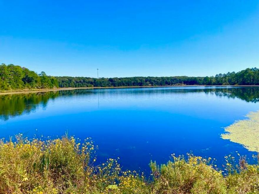 BEAUTIFUL WATERFRONT LOT ON  SEACOAST LAKE (also known as Little Lake Holly) ust a few miles north of DeFuniak Springs. With over 800 feet from the street to the water, this wooded lot allows plenty of privacy where you can build a beautiful waterfront home set back from the main road. The lot slopes gently down to the 43 acre spring fed lake, unlike some of the surrounding lots that have steeper banks. There is an HOA associated with this development assuring that this lot and the surrounding properties will maintain quality construction, appearance and maintenance of common areas. This lake offers a boat launch, several common areas, great fishing and quiet country living just a few minutes from DeFuniak Springs and only 40 minutes from our white-sand Gulf beaches!