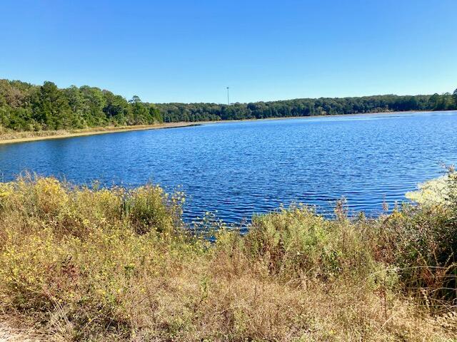 SEACOAST ESTATES - Land