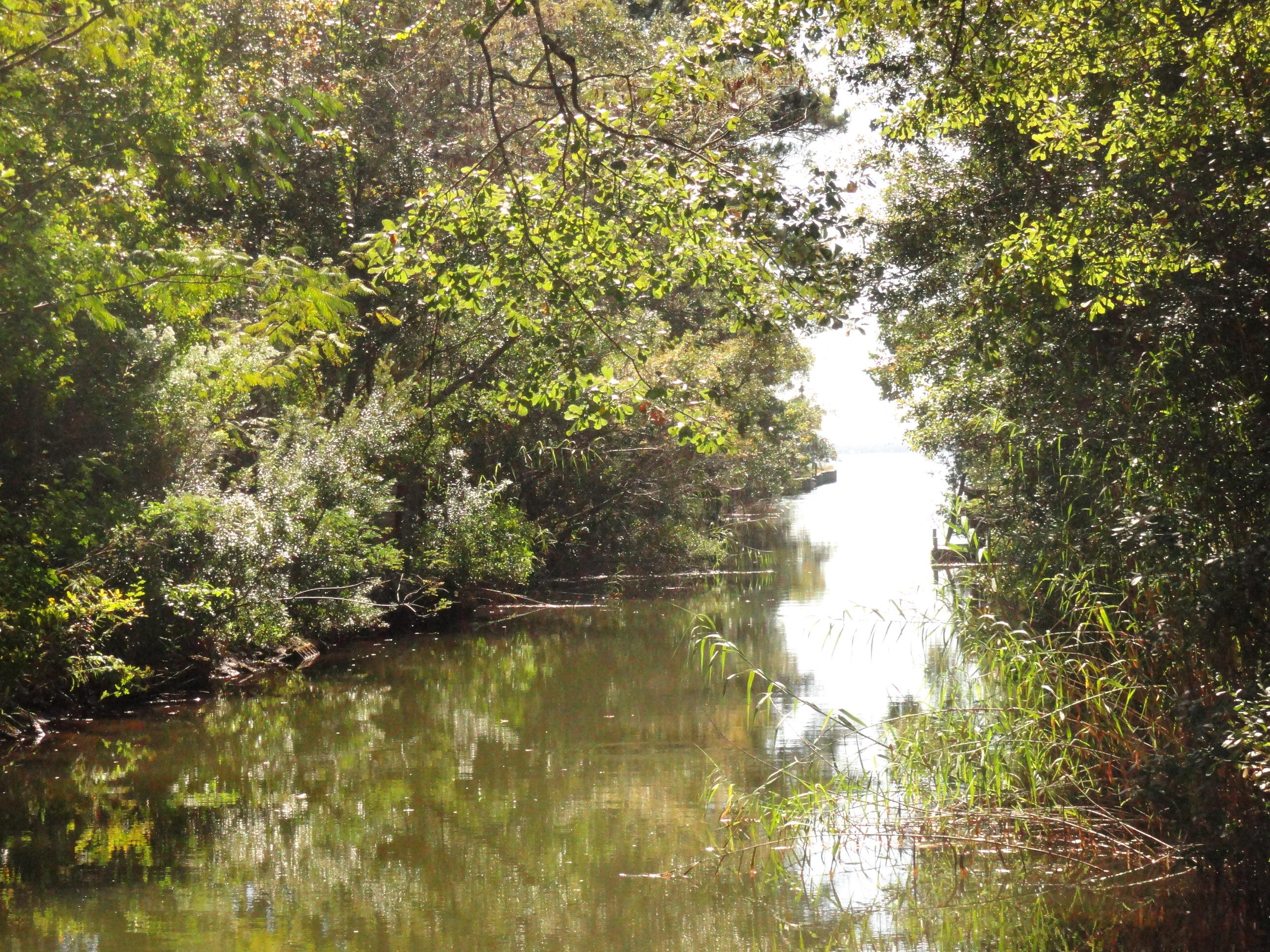 BAYSHORE RESORT UNREC - Residential