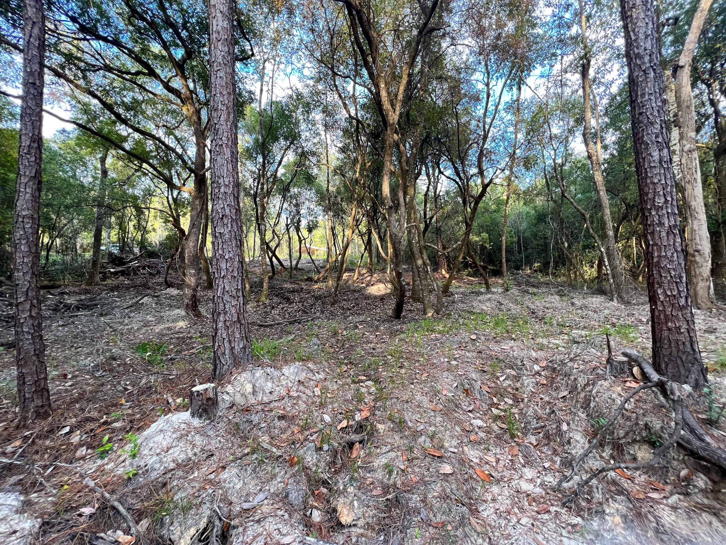 METES & BOUNDS - Land