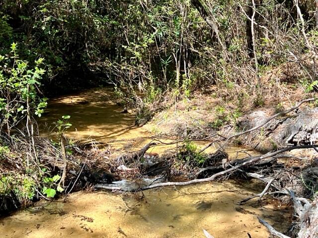 METES & BOUNDS - Land