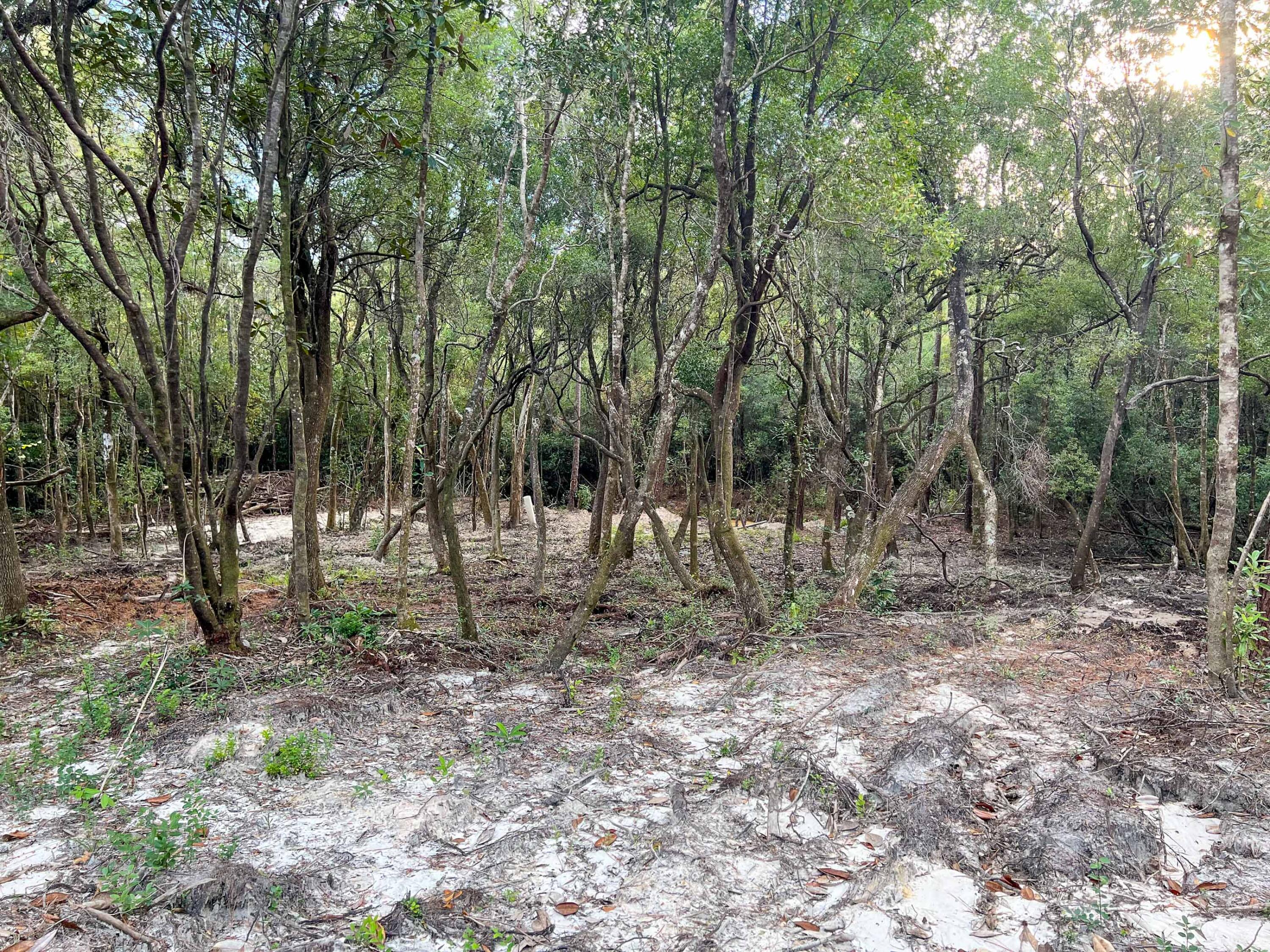 METES & BOUNDS - Land