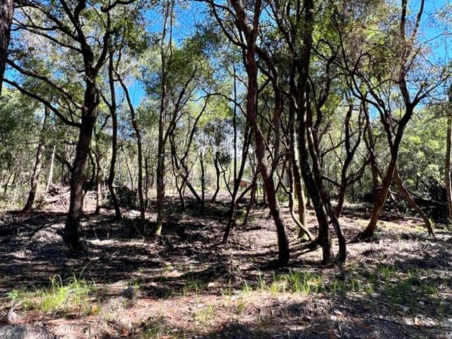 METES & BOUNDS - Land