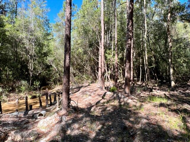 METES & BOUNDS - Land