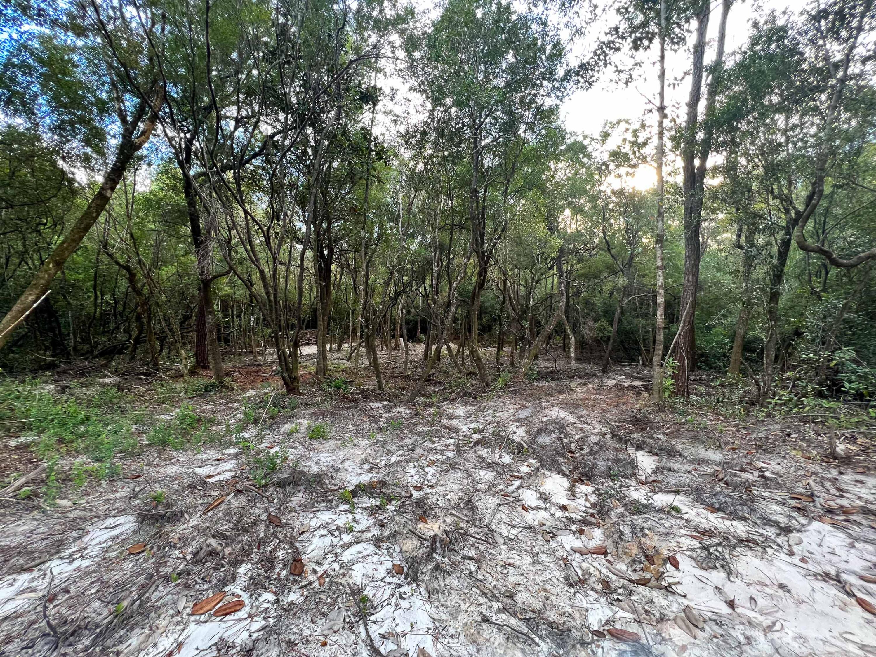 METES & BOUNDS - Land