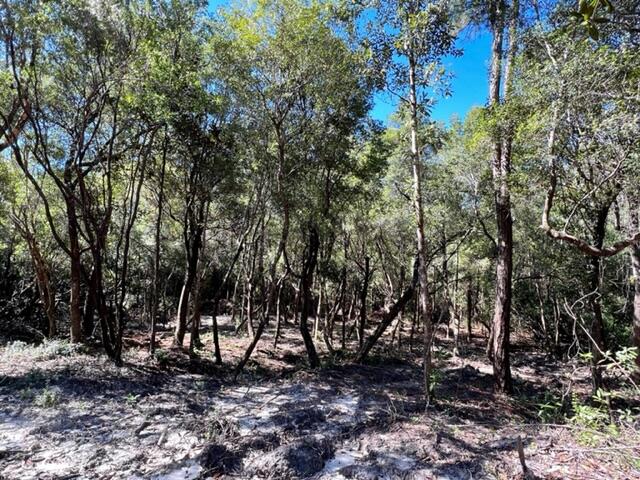 METES & BOUNDS - Land