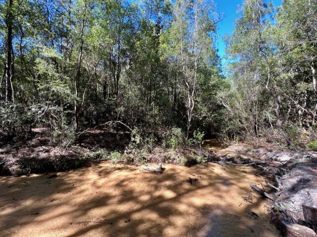 METES & BOUNDS - Land