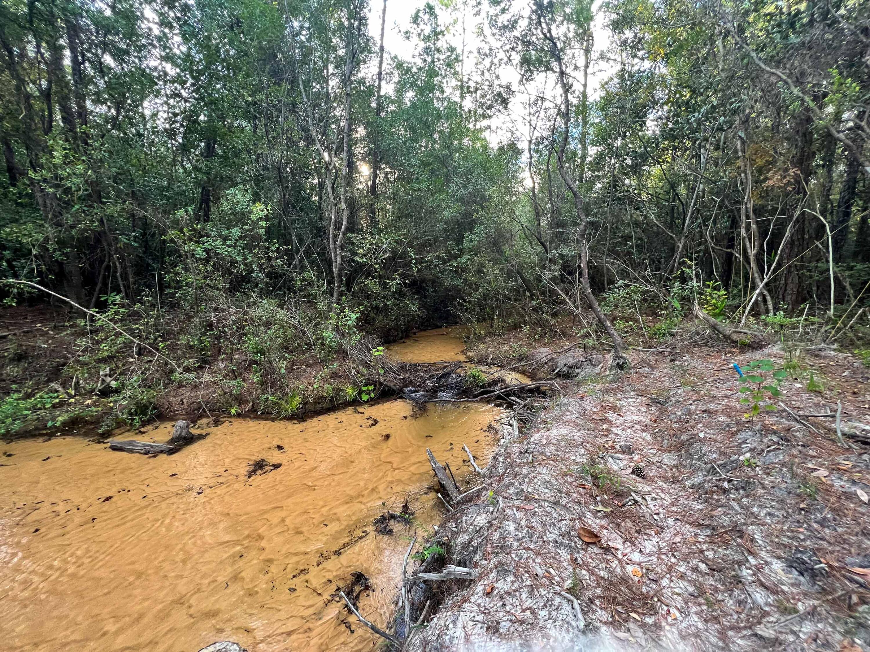 METES & BOUNDS - Land