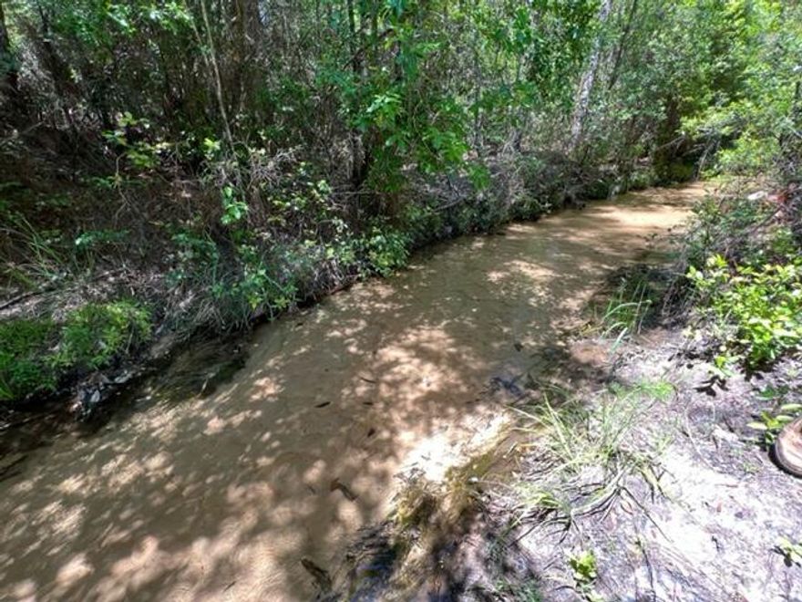 Fantastic private 45 acres with sandy bottom flowing creek, homesite clearing, deep well and 30x36 pole barn and electric. Backs up to I-10 and still is very quiet and peaceful, hearing only the the little waterfall in the creek. All the hard work has been done to prepare this beautiful property for a new home. The septic permits have been approved for a 4bed/3bath home and are transferrable to the new owner. Electric service will be established prior to closing. Less than 5 minutes to downtown DeFuniak Springs and only 35 minutes to the squeaky sugar white sands of the local Walton County beaches. Come splash in the creek and stay a while.