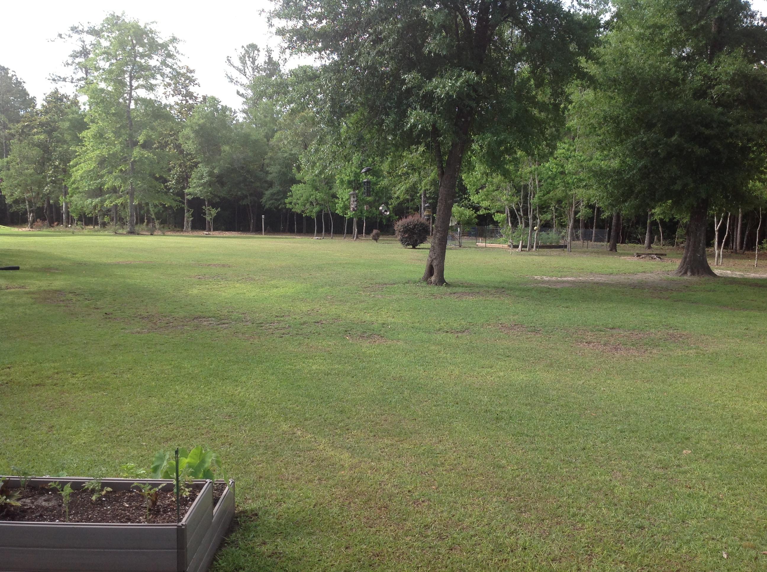 ASHLEY PLACE - Residential