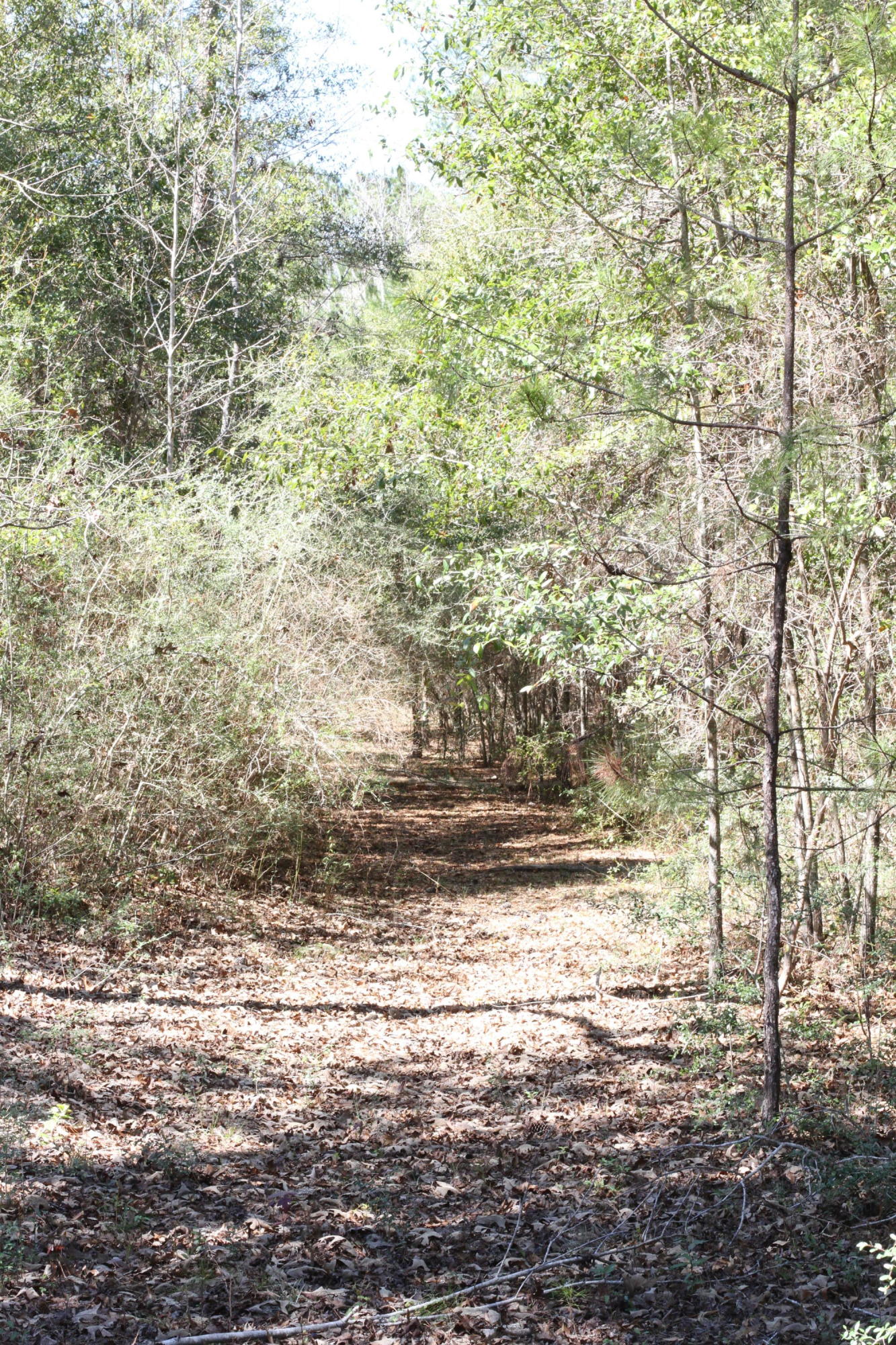 NO RECORDED SUBDIVISION - Residential