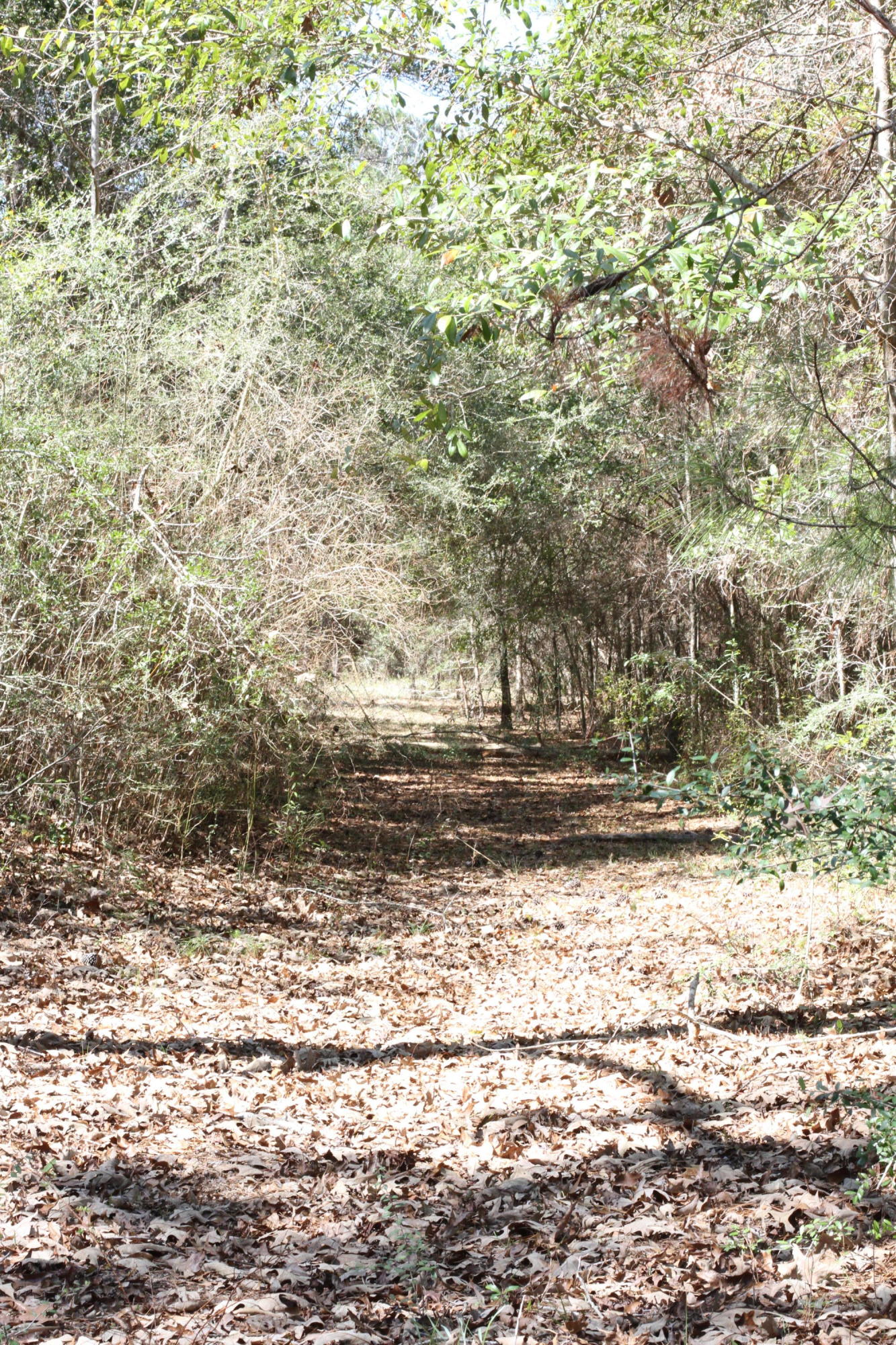 NO RECORDED SUBDIVISION - Residential