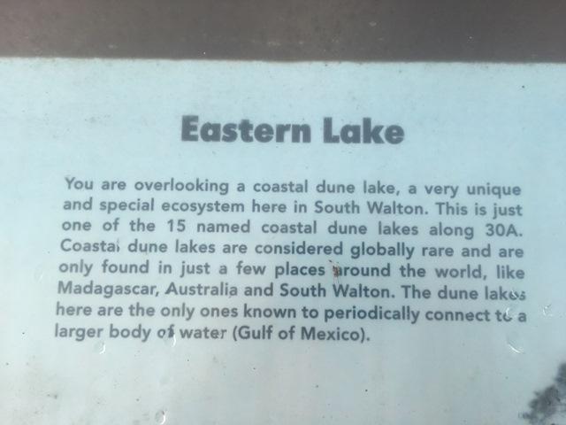 EASTERN LAKE VILLAGE CONDO - Residential